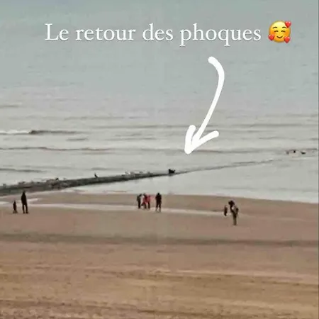 Appartement Magnifique Vue Sur